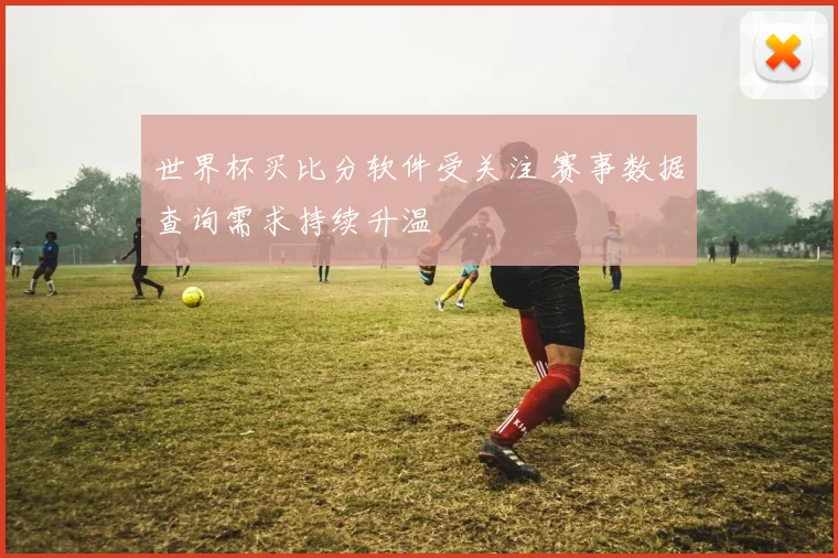 世界杯买比分软件受关注 赛事数据查询需求持续升温
